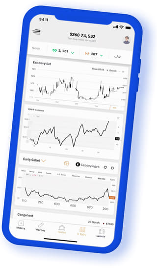 Mobile Ansicht der digitalen Sparnissanz Webanwendung